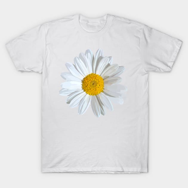 Marguerite T-Shirt by A_using_colors